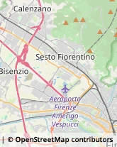 Ortofrutticoltura Sesto Fiorentino,50019Firenze