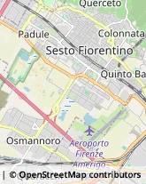 Ortofrutticoltura Sesto Fiorentino,50019Firenze