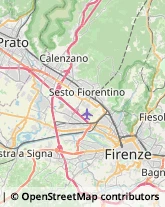 Ortofrutticoltura Firenze,50127Firenze