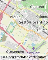 Enoteche Sesto Fiorentino,50019Firenze