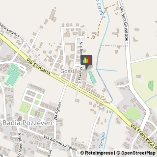 Palestre e Centri Fitness,55015Lucca