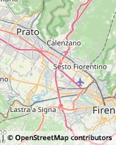 Nettezza Urbana - Servizio Firenze,50127Firenze