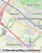 Gioiellerie e Oreficerie - Dettaglio Sesto Fiorentino,50019Firenze