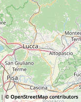 Articoli Sportivi - Dettaglio Altopascio,55011Lucca