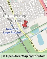 Via Marco Minghetti in Torre del Lago Puccini, 21,55049Viareggio