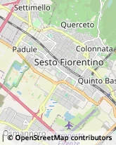 Dietologia - Medici Specialisti Sesto Fiorentino,50019Firenze