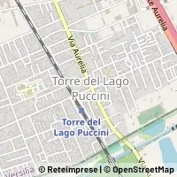 Map Viareggio