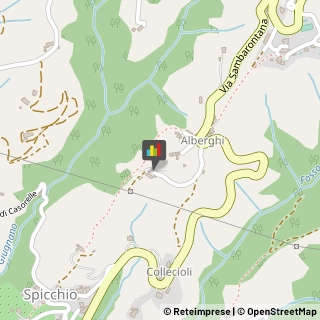 Agriturismi Lamporecchio,51035Pistoia
