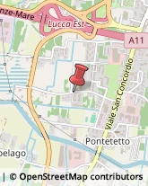 Via Traversa, 39,55012Lucca