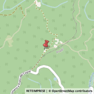 Mappa Via Aurelio Saffi, 4, 52015 Pratovecchio Stia, Arezzo (Toscana)
