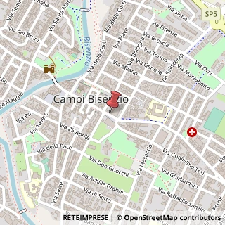 Mappa Piazza Dante, 20, 50013 Campi Bisenzio, Firenze (Toscana)
