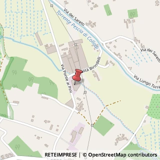 Mappa Loc. Torre Salese, 8, 55011 Altopascio, Lucca (Toscana)