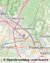 Macellerie Firenze,50127Firenze