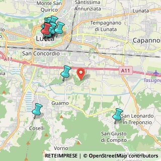 Mappa Via dei Boschi, 55012 Capannori LU, Italia (2.91059)