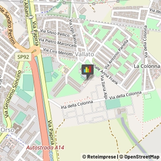 Paste Alimentari - Dettaglio,61032Pesaro e Urbino