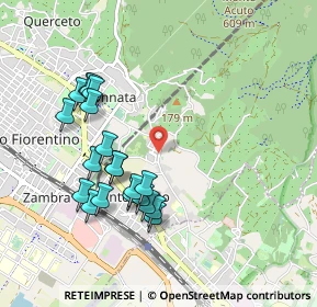 Mappa Via della Resistenza, 50060 Firenze FI, Italia (0.9725)