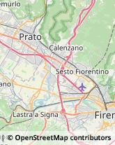 Spezie Calenzano,50041Firenze