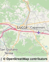 Elettricisti Capannori,55061Lucca