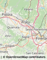 Frutta Secca Firenze,50127Firenze