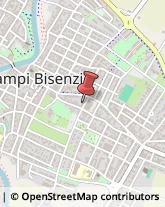 Via Tintori, 7,50013Campi Bisenzio