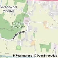 Map Capannori