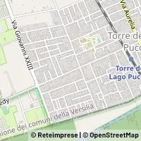 Hartă Viareggio
