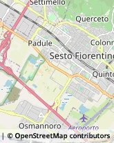 Consulenza Informatica Sesto Fiorentino,50019Firenze