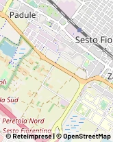 Consulenza Informatica Sesto Fiorentino,50019Firenze