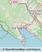 Fisiokinesiterapia - Medici Specialisti La Spezia,19123La Spezia