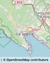 Trasporto Pubblico La Spezia,19134La Spezia