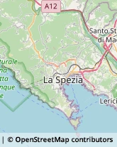 Agenzie Immobiliari Riccò del Golfo di Spezia,19020La Spezia