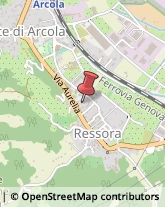 Via Aurelia Sud, 63,19021Arcola