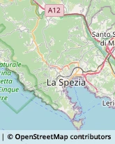 Scuole Pubbliche Riccò del Golfo di Spezia,19020La Spezia