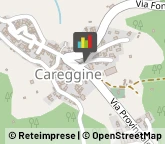 Ristoranti Careggine,55030Lucca