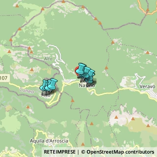 Mappa Via Piave, 17030 Nasino SV, Italia (0.98571)