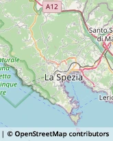 Imprese di Pulizia La Spezia,19123La Spezia