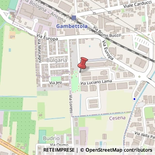 Mappa Via Ezio Lorenzini, 47035 Gambettola, Forlì-Cesena (Emilia Romagna)