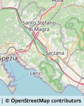 Articoli per Ortopedia Santo Stefano di Magra,19037La Spezia