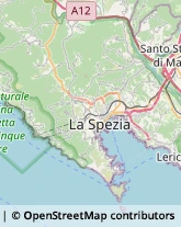 Assicurazioni Riccò del Golfo di Spezia,19020La Spezia