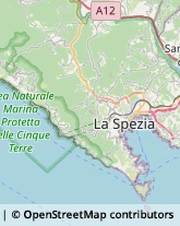 Tour Operator e Agenzia di Viaggi Riccò del Golfo di Spezia,19020La Spezia