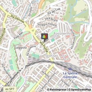Articoli da Regalo - Dettaglio,19100La Spezia