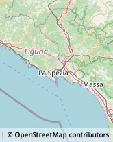 Psicologi Lerici,19032La Spezia