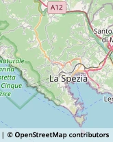 Parrucchieri Riccò del Golfo di Spezia,19020La Spezia