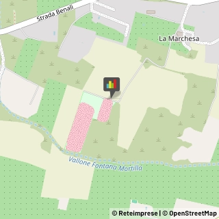 Impianti Sportivi Siracusa,96100Siracusa