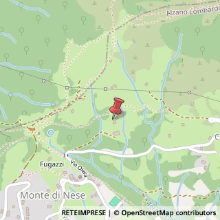 Mappa Via Verdi Giuseppe, 24, 24022 Alzano Lombardo, Bergamo (Lombardia)