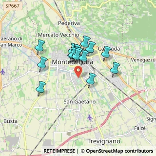 Mappa Via G. Marcon, 31044 Montebelluna TV, Italia (1.31824)