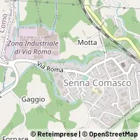 Kart Senna Comasco