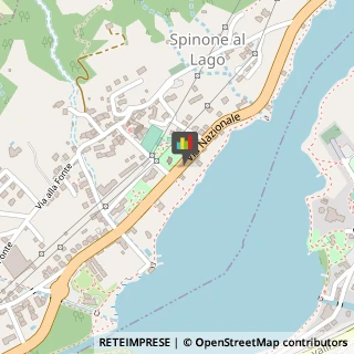 Bar e Caffetterie Spinone al Lago,24060Bergamo