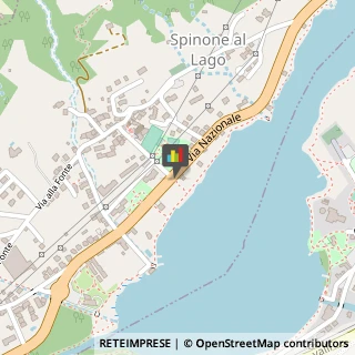 Bar e Caffetterie Spinone al Lago,24060Bergamo