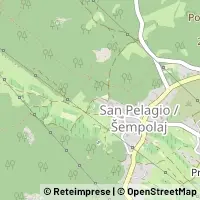 Peta Trieste